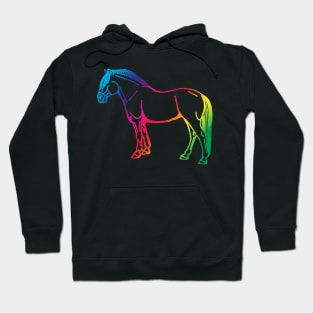 rainbow fjord Hoodie